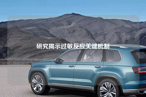 研究揭示过敏反应关键机制